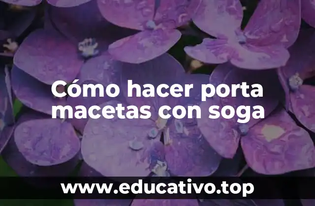 Cómo hacer porta macetas con soga