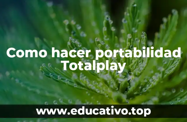 Qué es la portabilidad Totalplay
