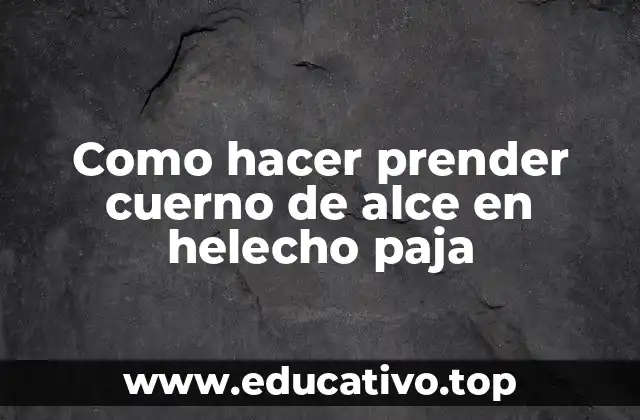 Como hacer prender cuerno de alce en helecho paja