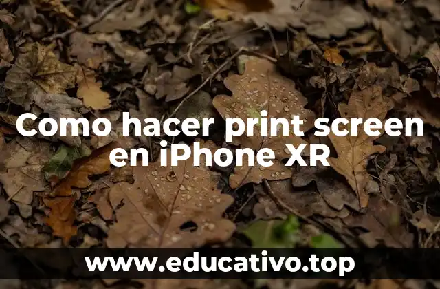Como hacer print screen en iPhone XR