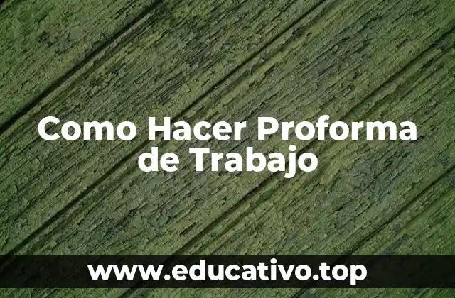 Como Hacer Proforma de Trabajo