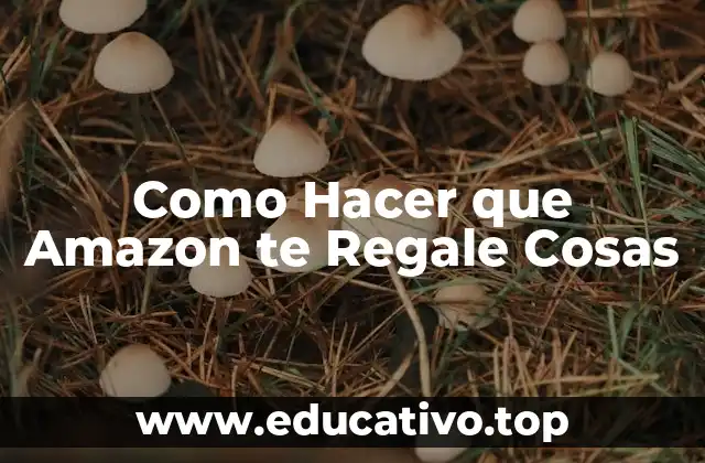 Como Hacer que Amazon te Regale Cosas
