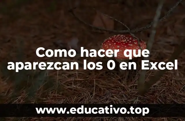 Como hacer que aparezcan los 0 en Excel