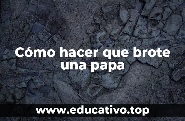 Cómo hacer que brote una papa