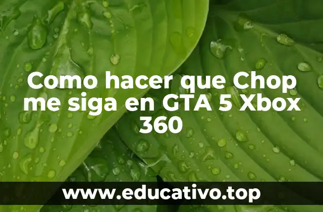 Como hacer que Chop me siga en GTA 5 Xbox 360