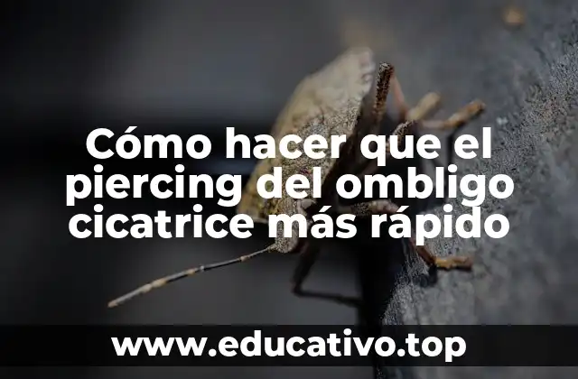 Cómo hacer que el piercing del ombligo cicatrice más rápido