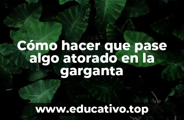 Cómo hacer que pase algo atorado en la garganta