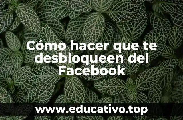 Cómo hacer que te desbloqueen del Facebook