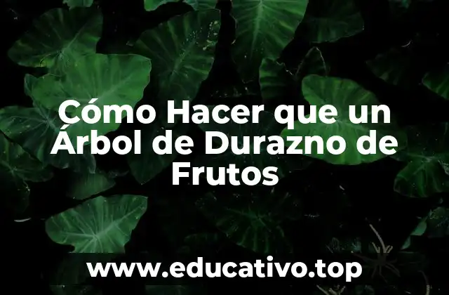 Cómo Hacer que un Árbol de Durazno de Frutos