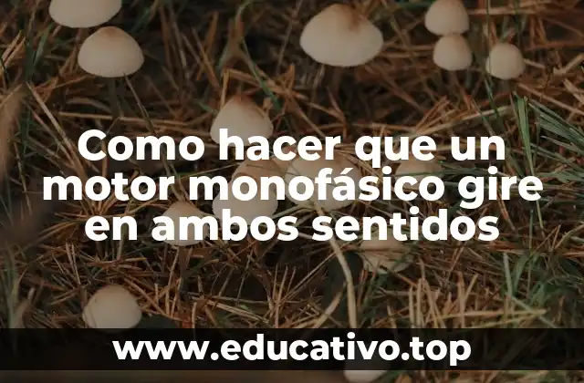 Como hacer que un motor monofásico gire en ambos sentidos