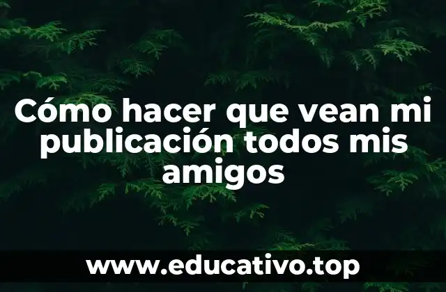 Cómo hacer que vean mi publicación todos mis amigos