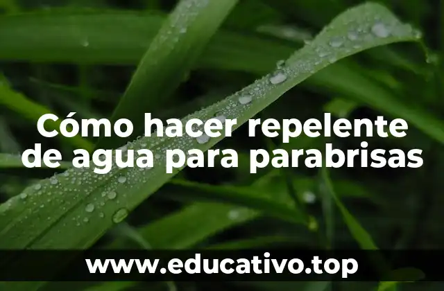 ¿Qué es un repelente de agua para parabrisas?