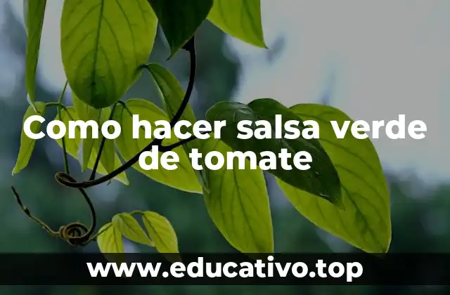 ¿Qué es la salsa verde de tomate y para qué sirve?