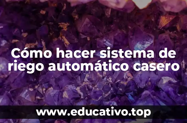 Cómo hacer sistema de riego automático casero