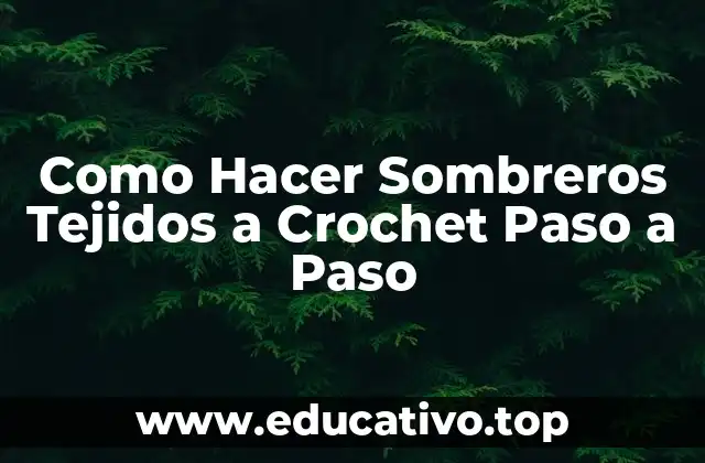 Como Hacer Sombreros Tejidos a Crochet Paso a Paso
