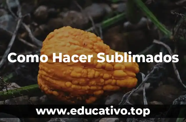 Como Hacer Sublimados