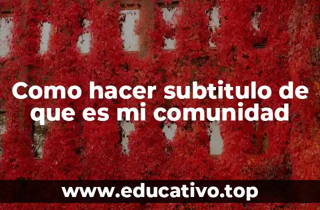 Como hacer subtitulo de que es mi comunidad