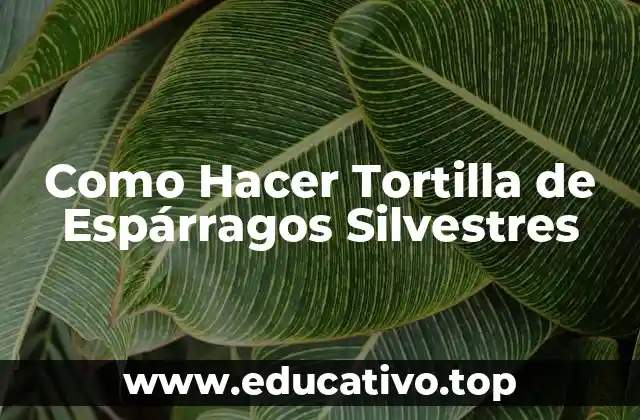 Como Hacer Tortilla de Espárragos Silvestres