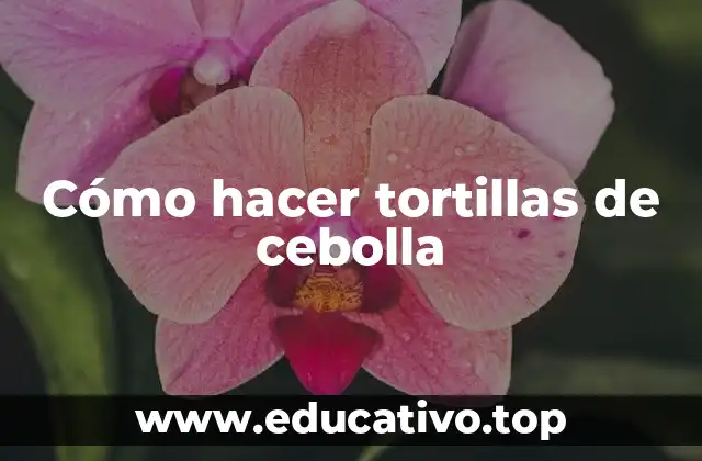 Tortillas de cebolla, qué son y para qué sirven