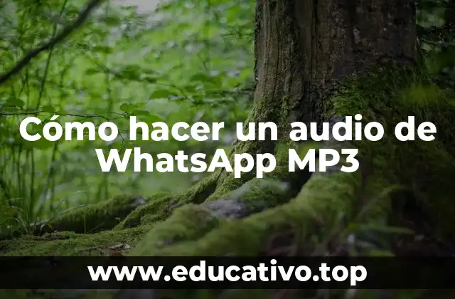 Cómo hacer un audio de WhatsApp MP3