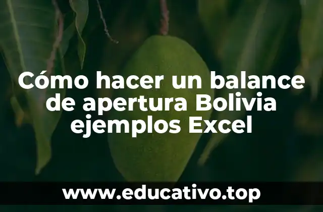 ¿Qué es un balance de apertura y para qué sirve?