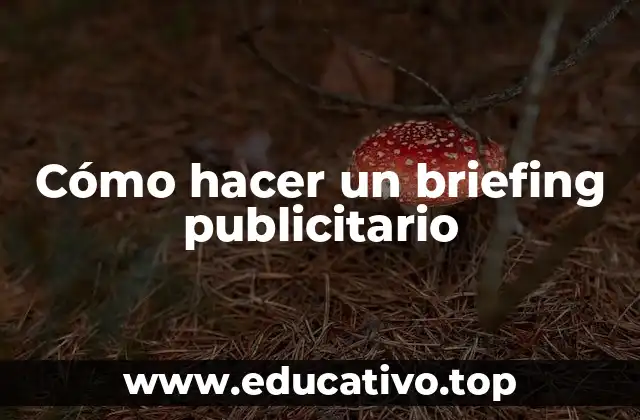 Cómo hacer un briefing publicitario