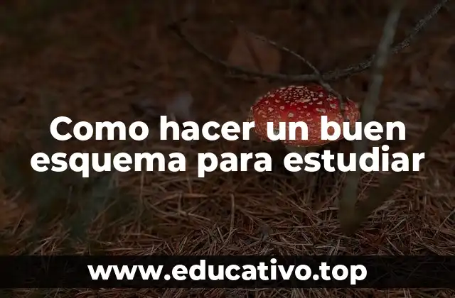 Como hacer un buen esquema para estudiar