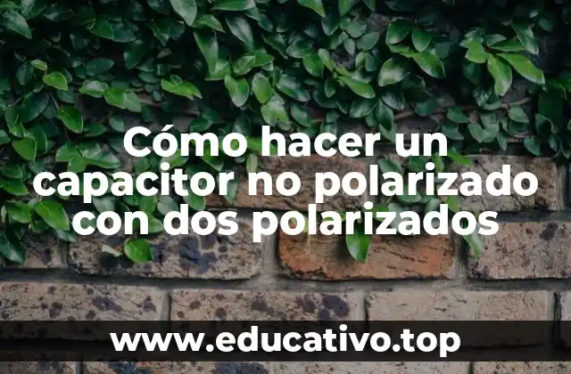 Cómo hacer un capacitor no polarizado con dos polarizados