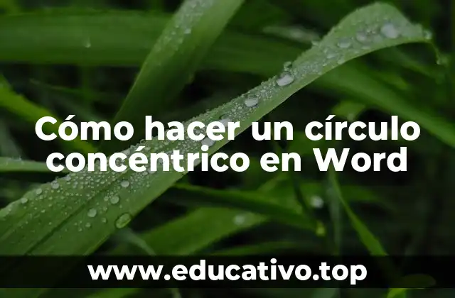 Cómo hacer un círculo concéntrico en Word