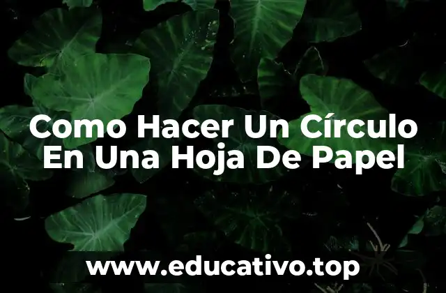 Como Hacer Un Círculo En Una Hoja De Papel