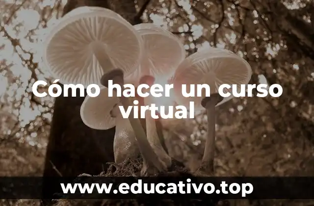Cómo hacer un curso virtual
