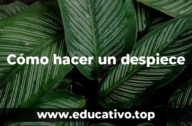 Cómo hacer un despiece