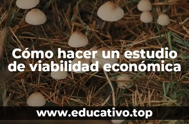 ¿Qué es un estudio de viabilidad económica y para qué sirve?