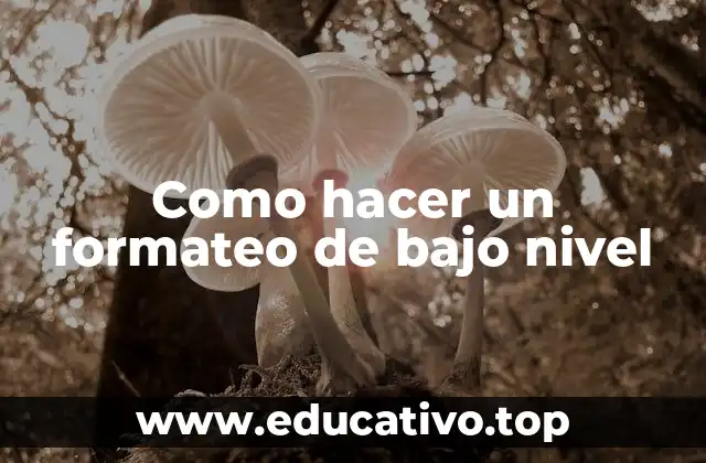 Como hacer un formateo de bajo nivel