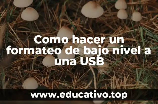Como hacer un formateo de bajo nivel a una USB