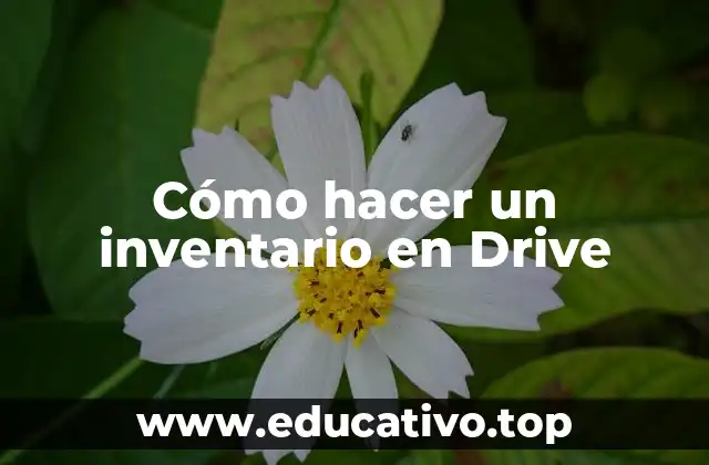 Cómo hacer un inventario en Drive