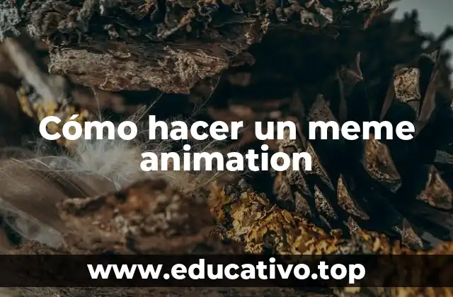 ¿Qué es un meme animation?