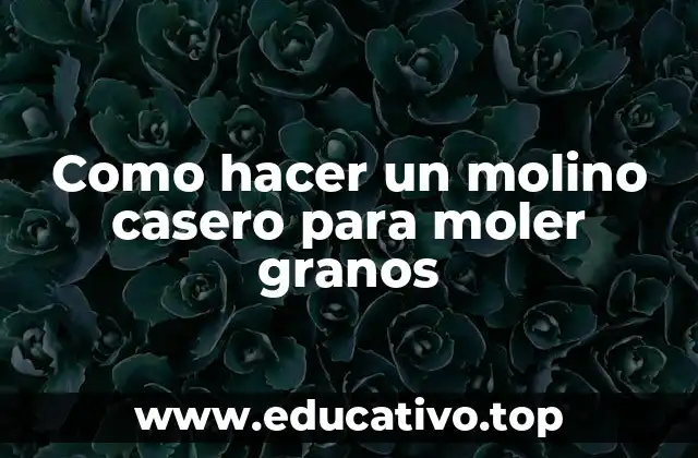 Como hacer un molino casero para moler granos