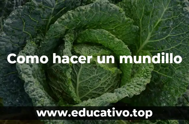 Como hacer un mundillo