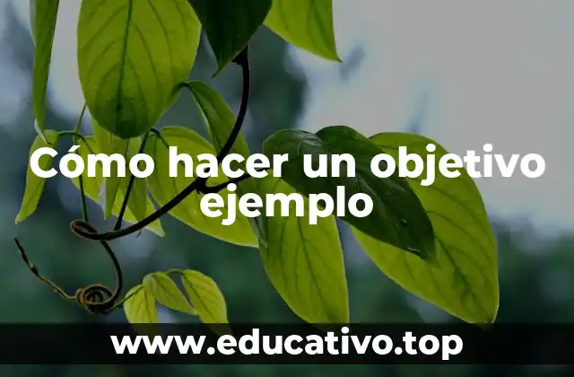 ¿Qué es un objetivo ejemplo?