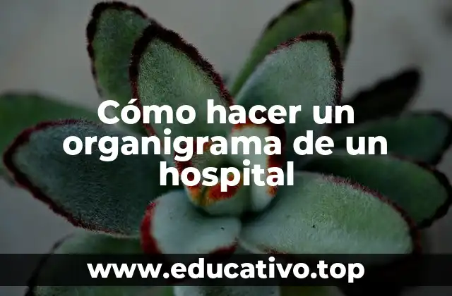 Cómo hacer un organigrama de un hospital