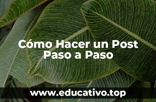 Cómo Hacer un Post Paso a Paso