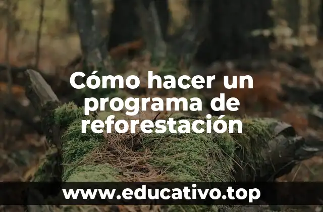 Cómo hacer un programa de reforestación