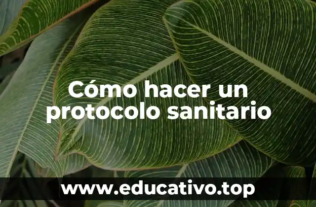 Cómo hacer un protocolo sanitario