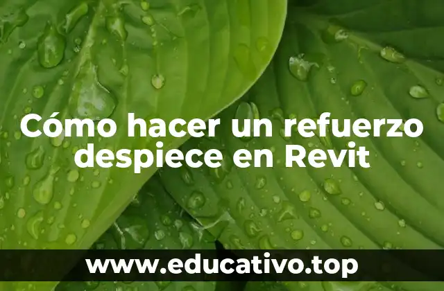Cómo hacer un refuerzo despiece en Revit