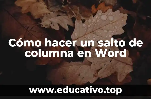 Cómo hacer un salto de columna en Word