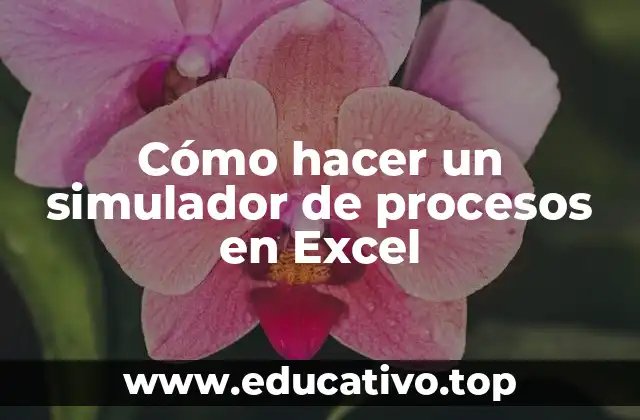 Cómo hacer un simulador de procesos en Excel
