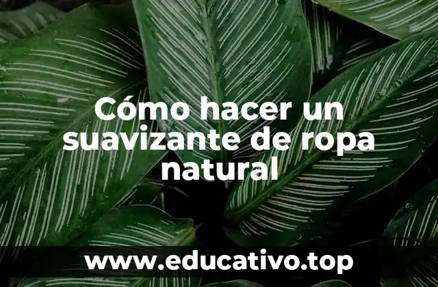 Cómo hacer un suavizante de ropa natural