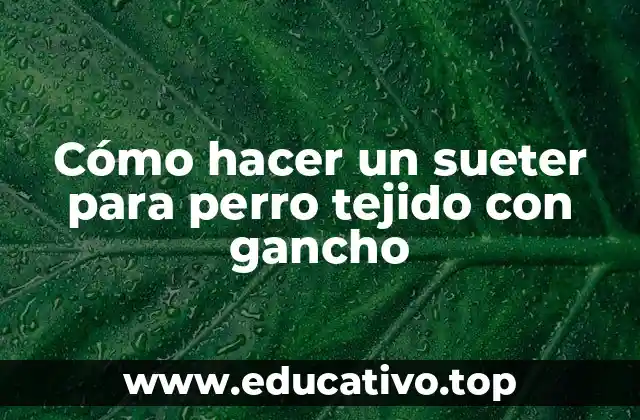 Cómo hacer un sueter para perro tejido con gancho