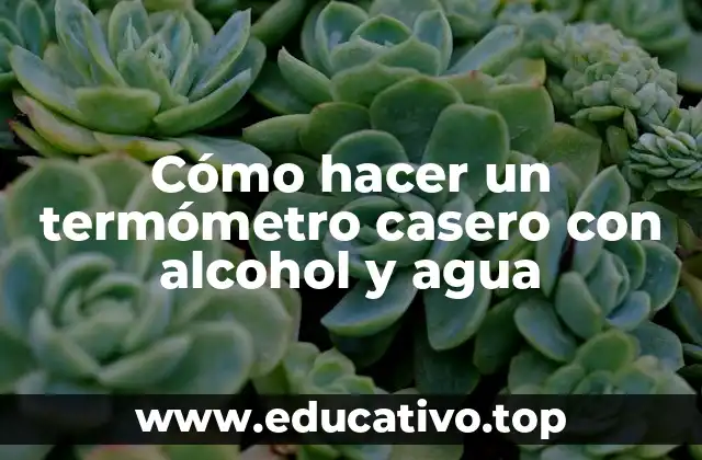Cómo hacer un termómetro casero con alcohol y agua